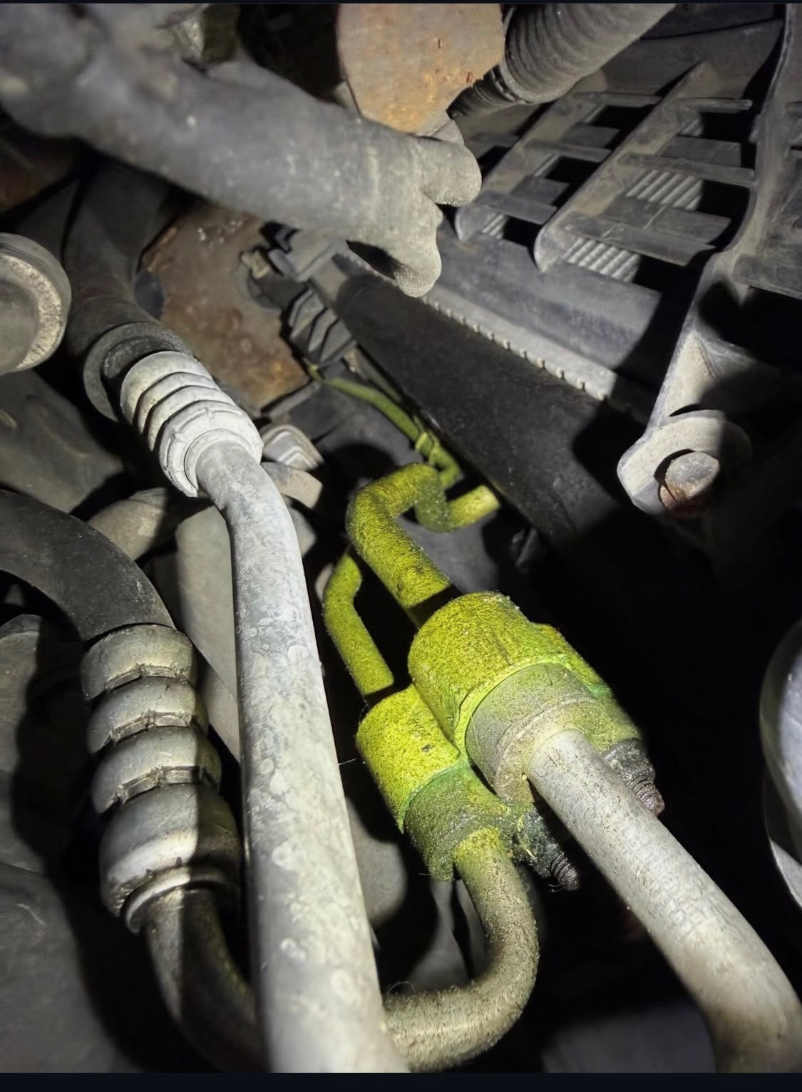 Under-the-hood engine bay during a maintenance and repair service
